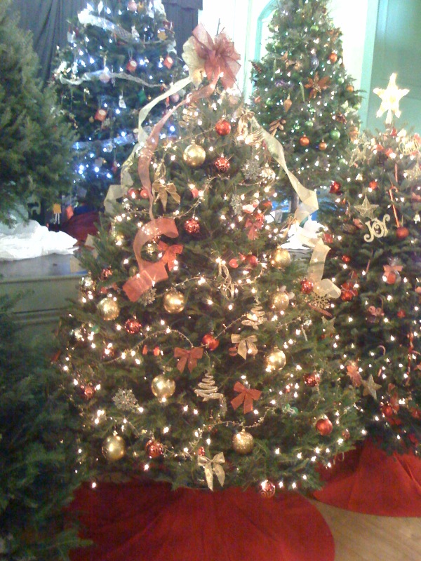 Ki Fitness Festival of Trees Entry